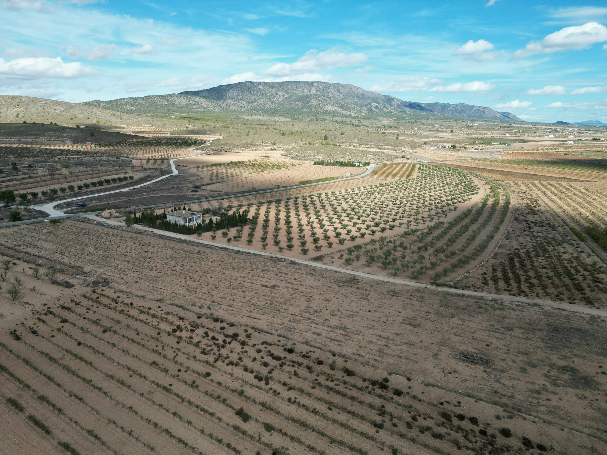 default Land In Lel, Spain (12.393 M² Plot)