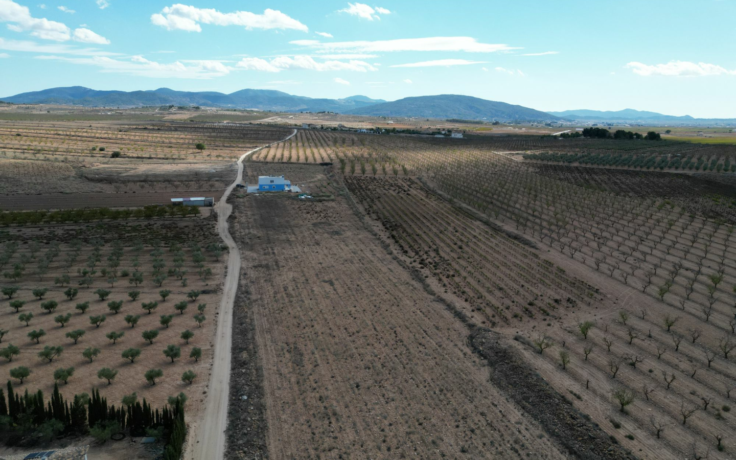 Land In Lel, Spain (12.393 M² Plot)