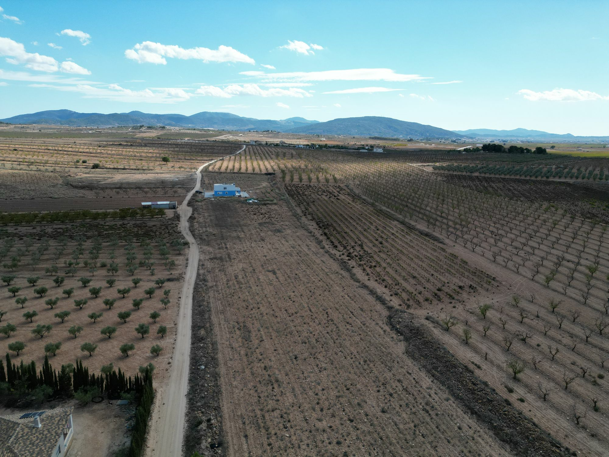 default Land In Lel, Spain (12.393 M² Plot)