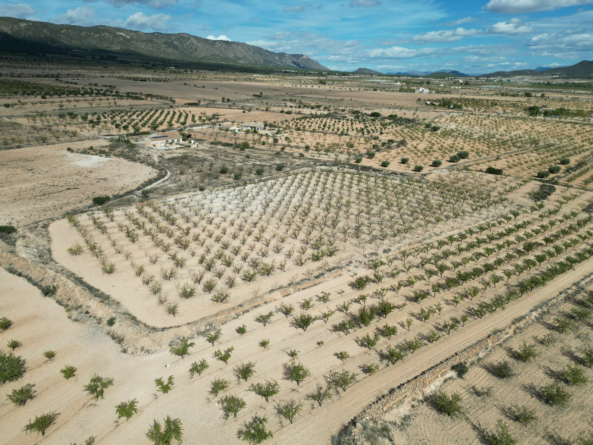 Land In Pinoso, Spain (11.321 M² Plot)