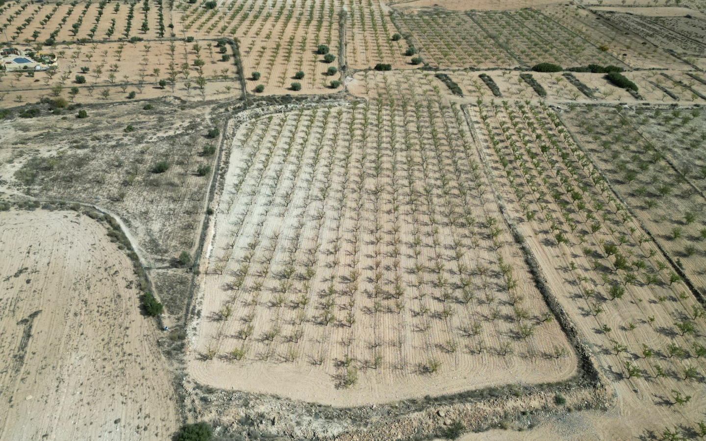Land In Pinoso, Spain (11.321 M² Plot)