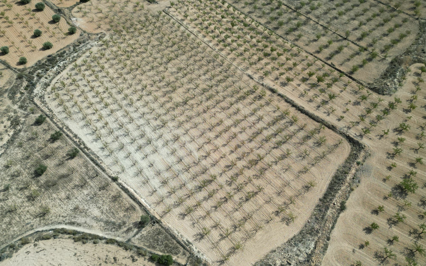 Land In Pinoso, Spain (11.321 M² Plot)