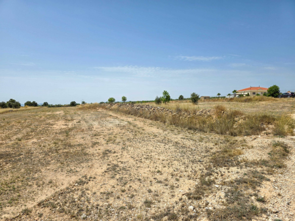 Land In Pinoso, Spain (16.294 M² Plot)