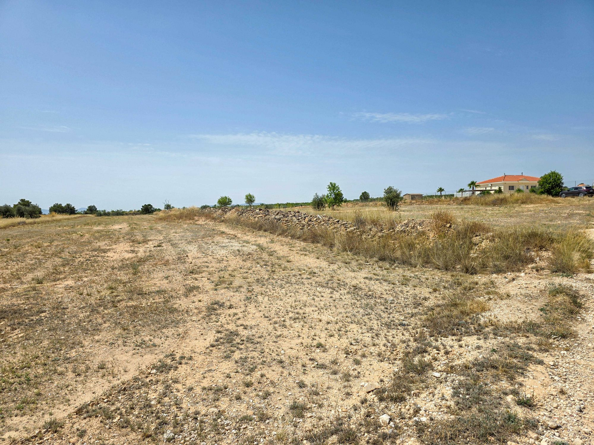 Land In Pinoso, Spain (16.294 M² Plot)