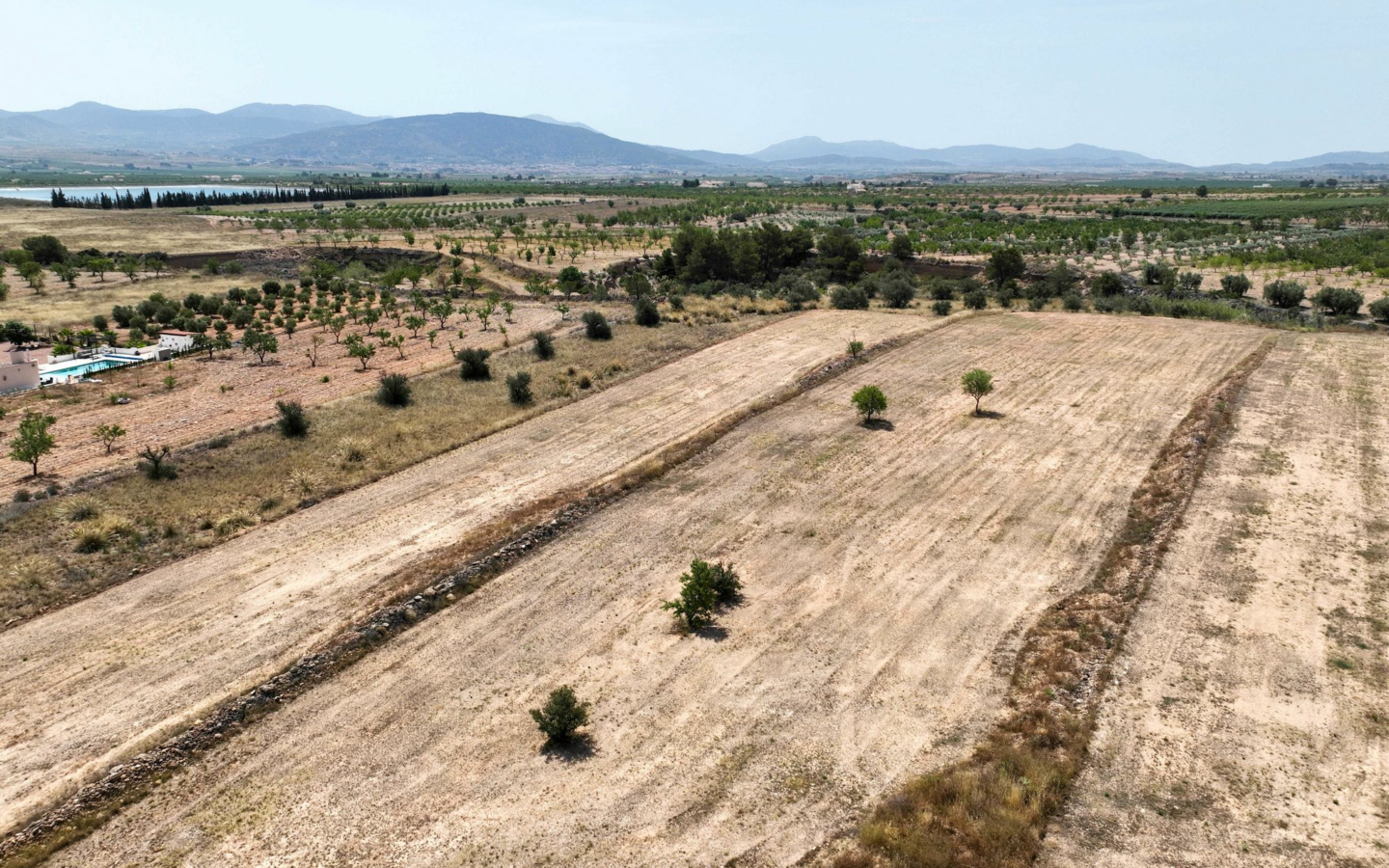 Land In Pinoso, Spain (16.294 M² Plot)