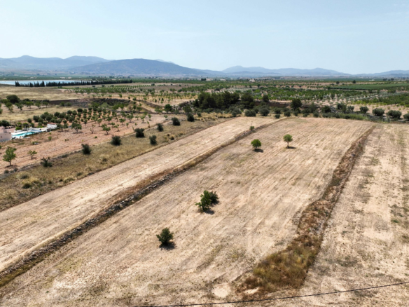Land In Pinoso, Spain (16.294 M² Plot)