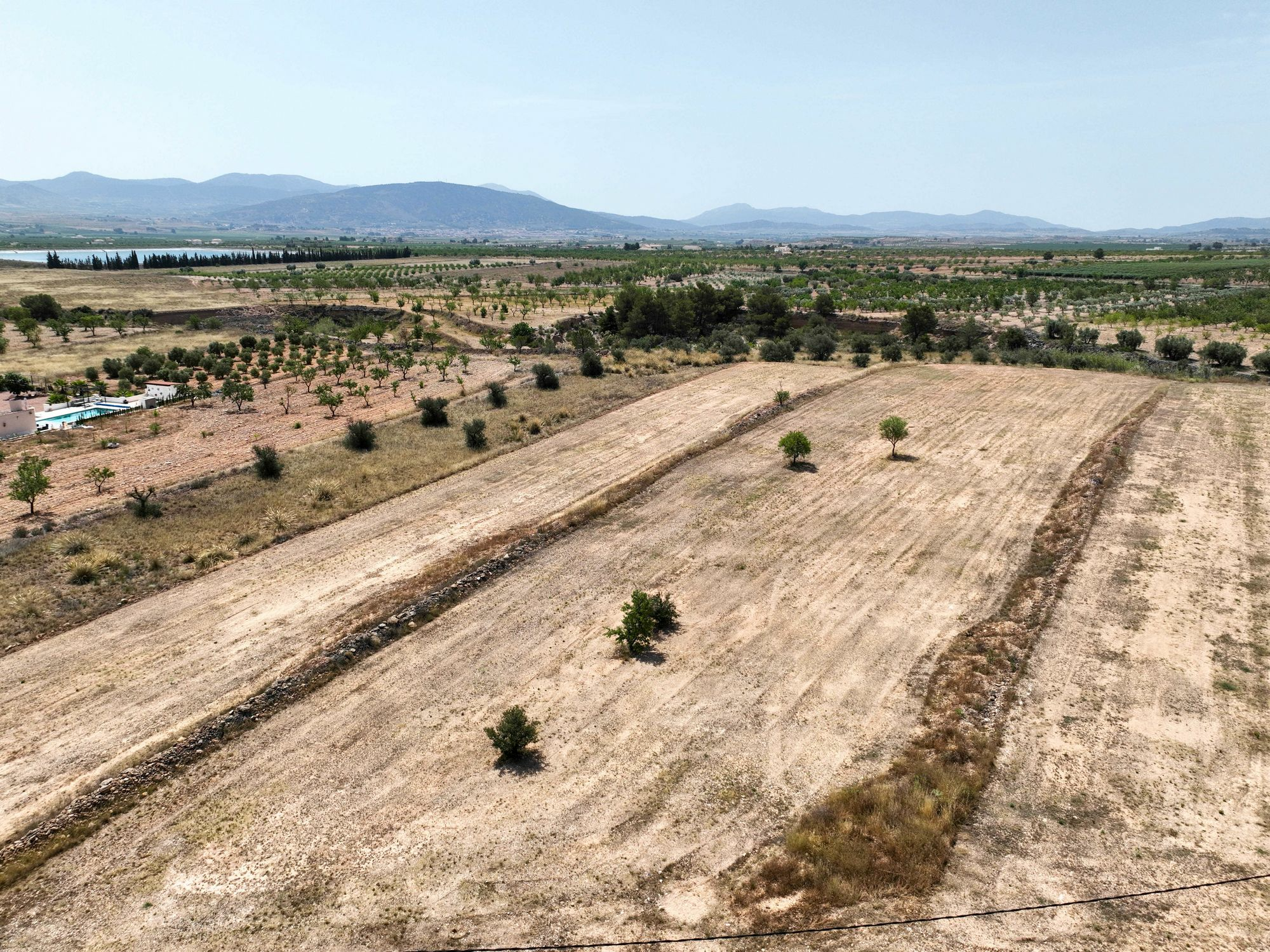 Land In Pinoso, Spain (16.294 M² Plot)