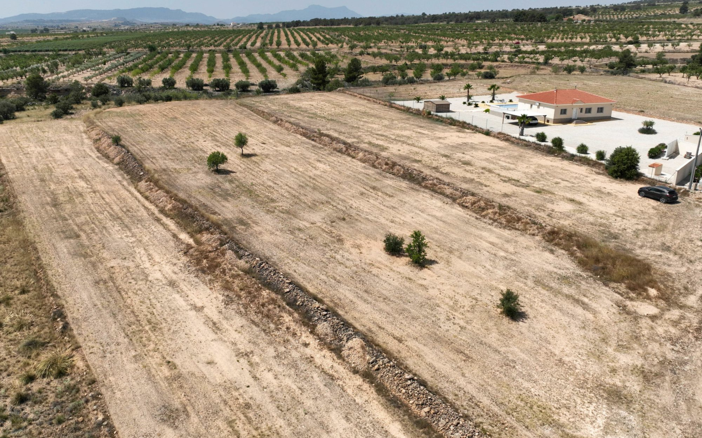 Land In Pinoso, Spain (16.294 M² Plot)