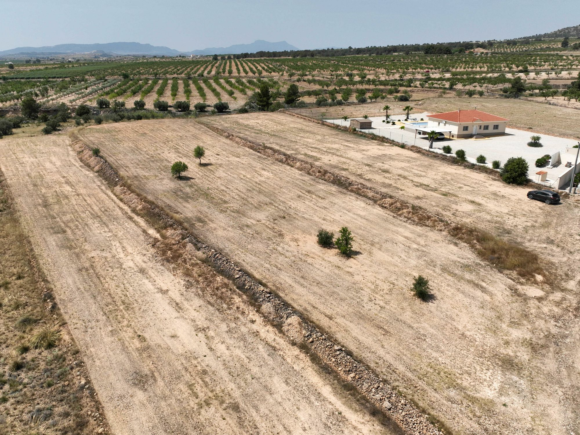 Land In Pinoso, Spain (16.294 M² Plot)