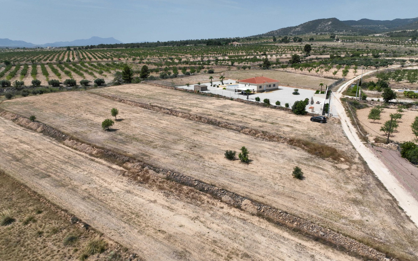 Land In Pinoso, Spain (16.294 M² Plot)
