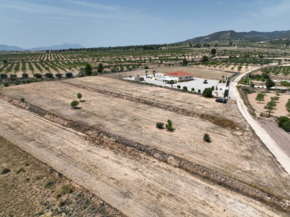 Land In Pinoso, Spain (16.294 M² Plot)