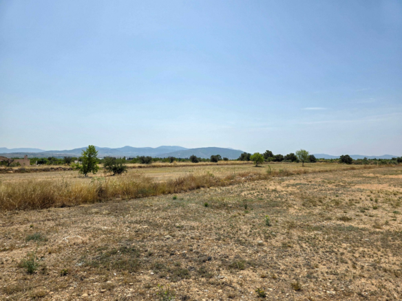 Land In Pinoso, Spain (16.294 M² Plot)