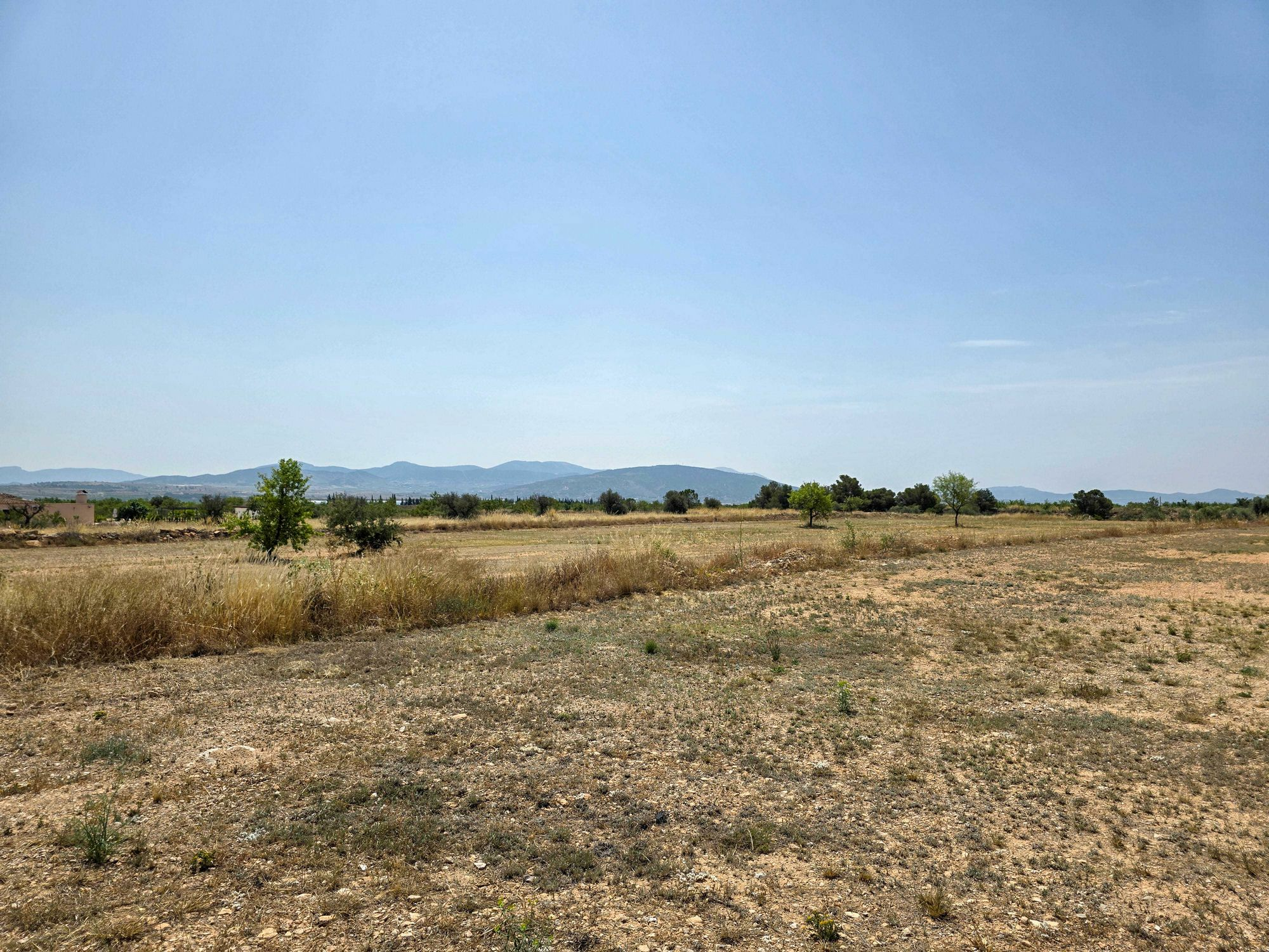 Land In Pinoso, Spain (16.294 M² Plot)
