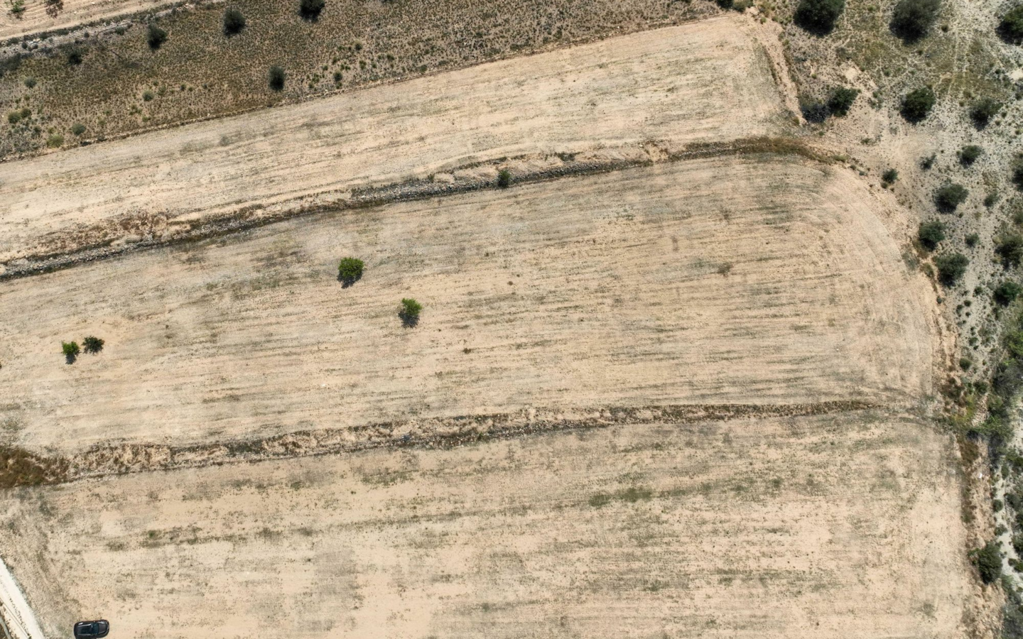 Land In Pinoso, Spain (16.294 M² Plot)