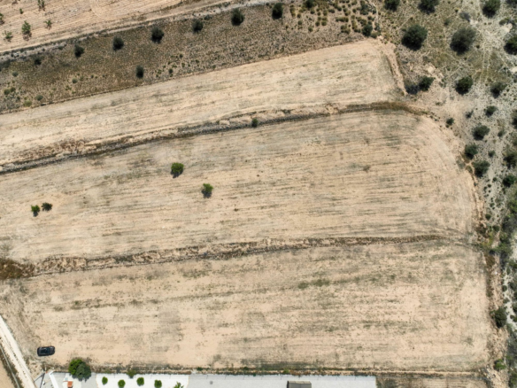 Land In Pinoso, Spain (16.294 M² Plot)