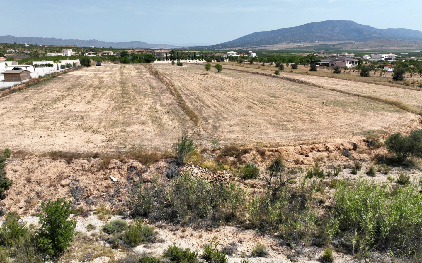 Land In Pinoso, Spain (16.294 M² Plot)