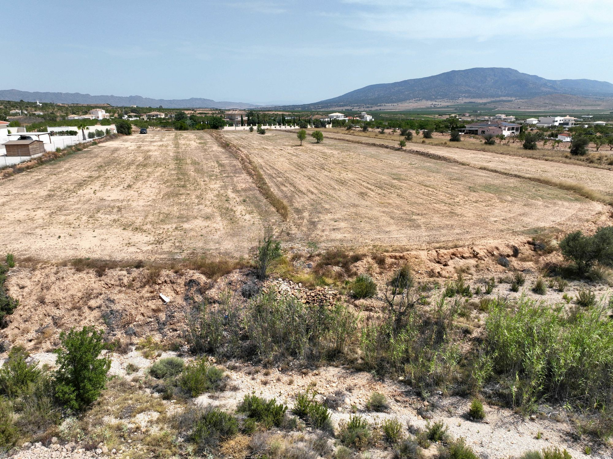 Land In Pinoso, Spain (16.294 M² Plot)