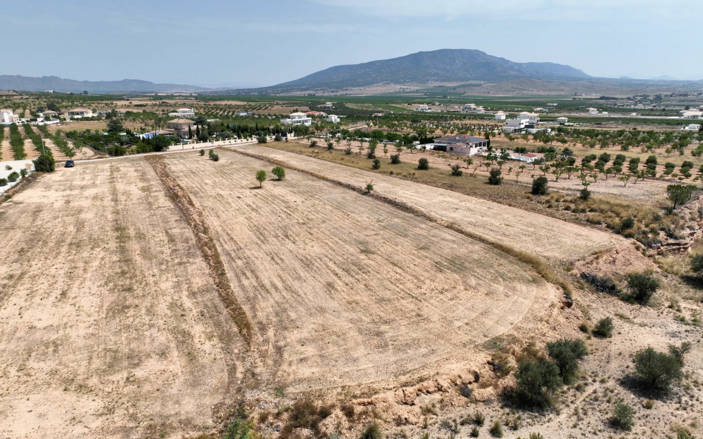 Land In Pinoso, Spain (16.294 M² Plot)
