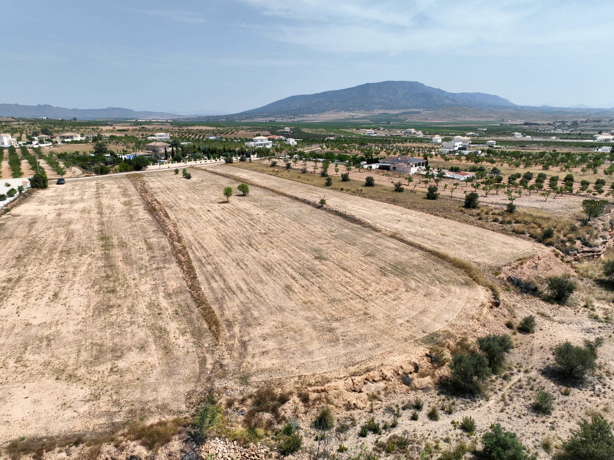 Land In Pinoso, Spain (16.294 M² Plot)