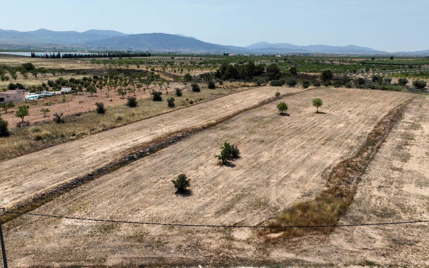 Land In Pinoso, Spain (16.294 M² Plot)
