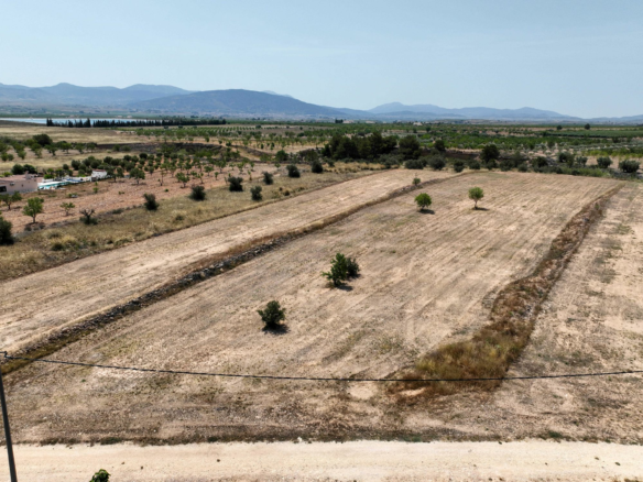 Land In Pinoso, Spain (16.294 M² Plot)