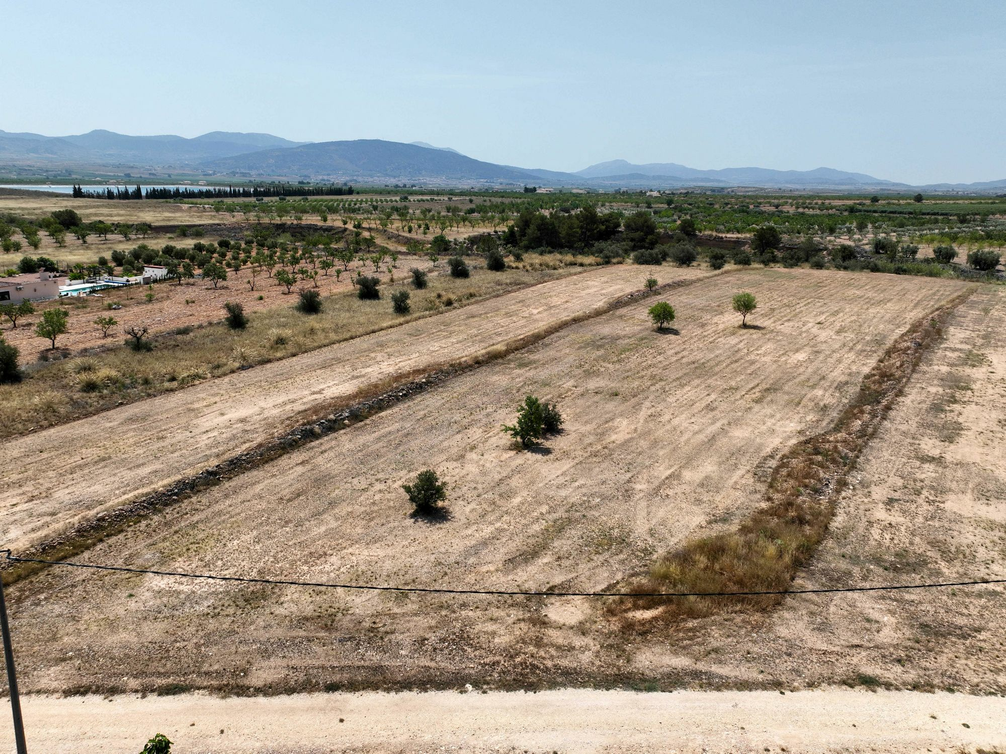 Land In Pinoso, Spain (16.294 M² Plot)