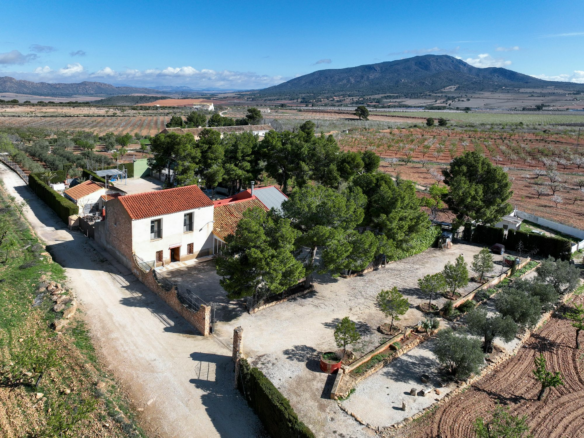 5-bedroom Country House In Pinoso, Spain (260 M²)