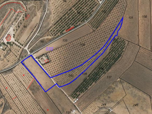 Land In Lel, Spain (12.393 M² Plot)