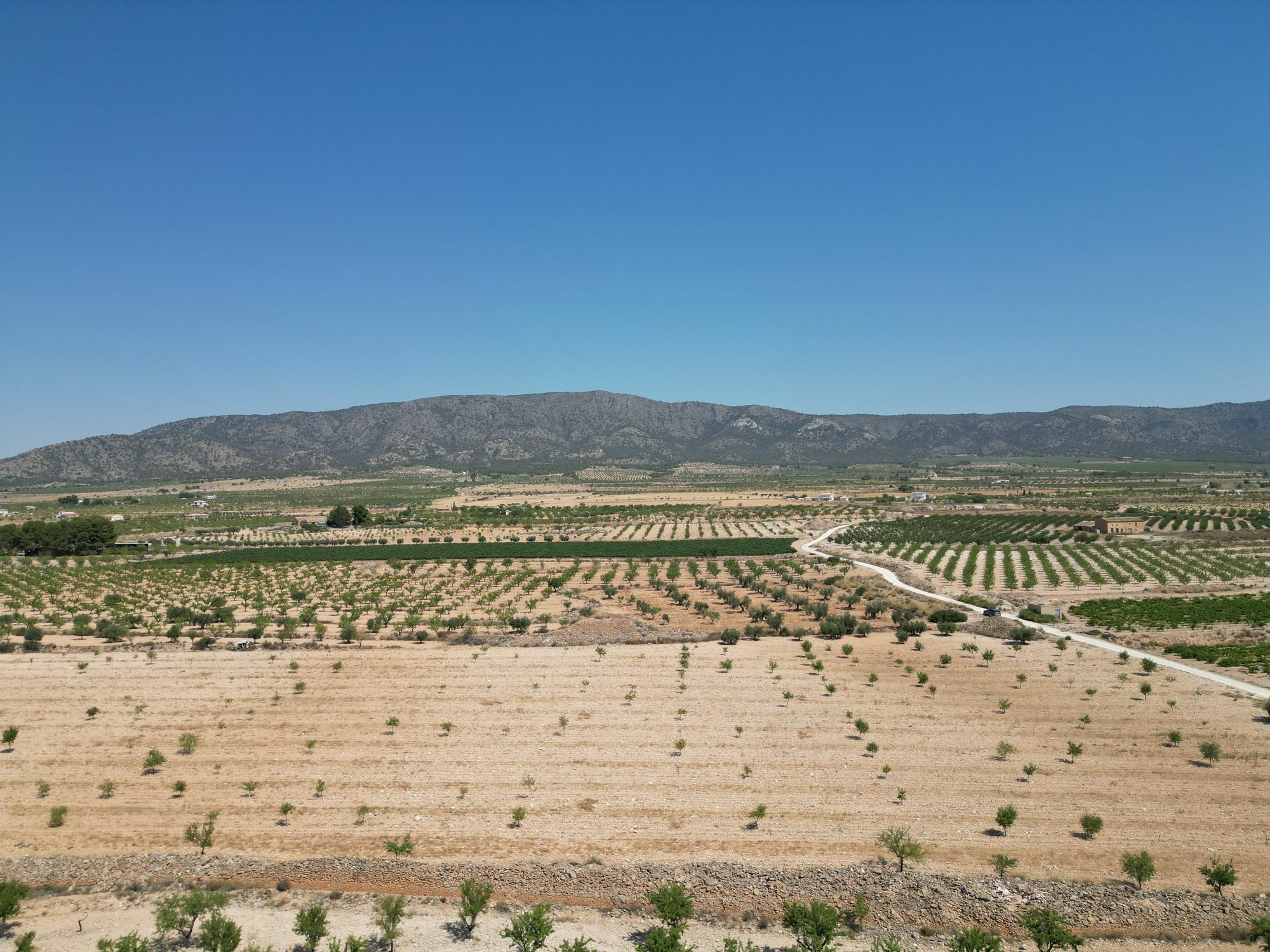 Land In Pinoso, Spain (30.590 M² Plot)