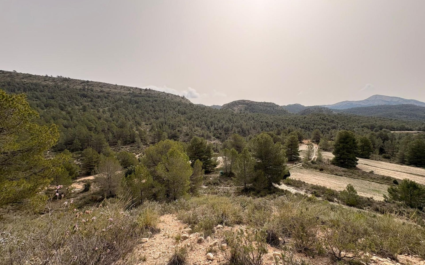 Land In Petrer, Spain (100.000 M² Plot)