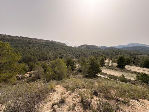 Land In Petrer, Spain (100.000 M² Plot)
