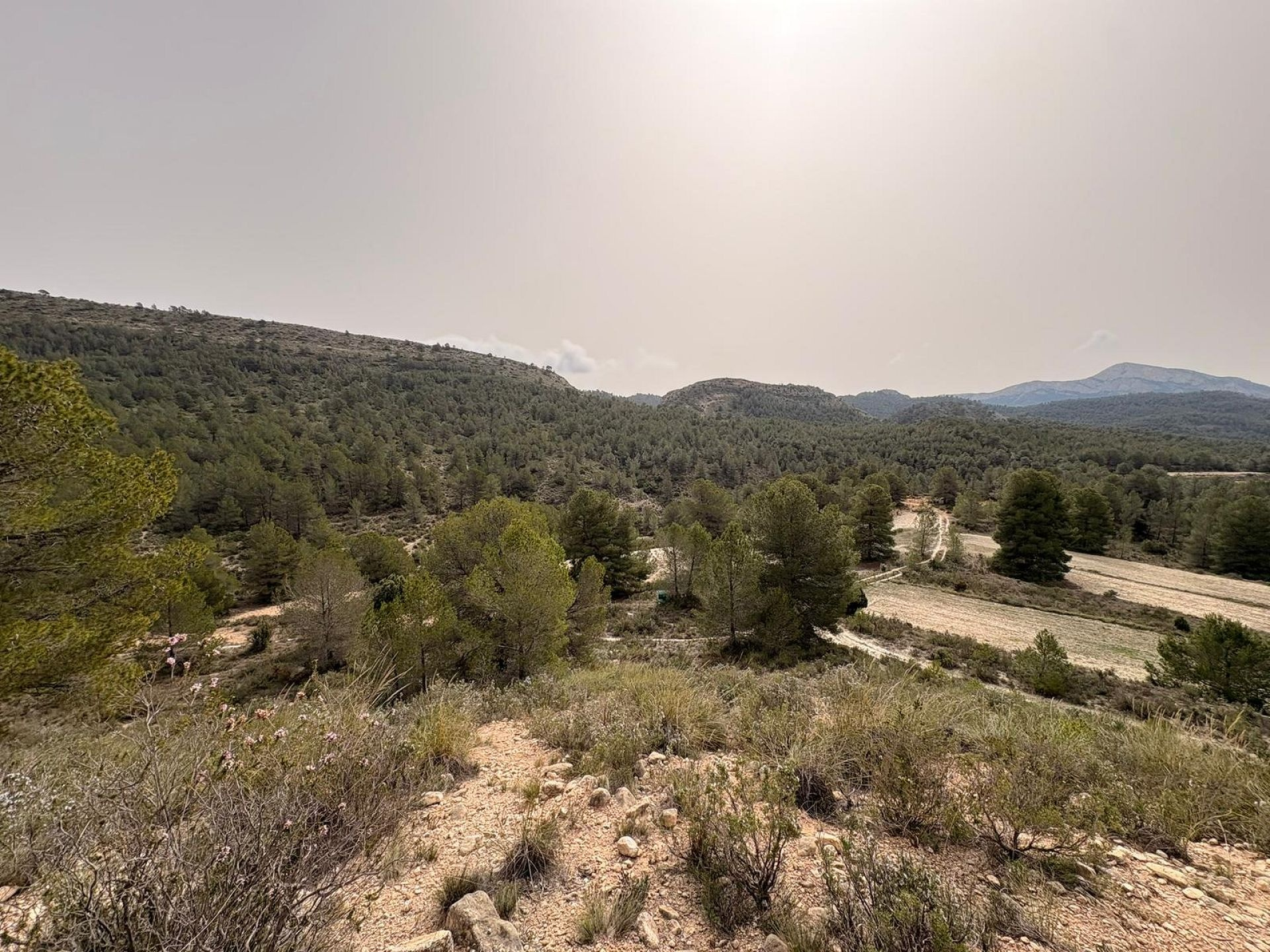 Land In Petrer, Spain (100.000 M² Plot)
