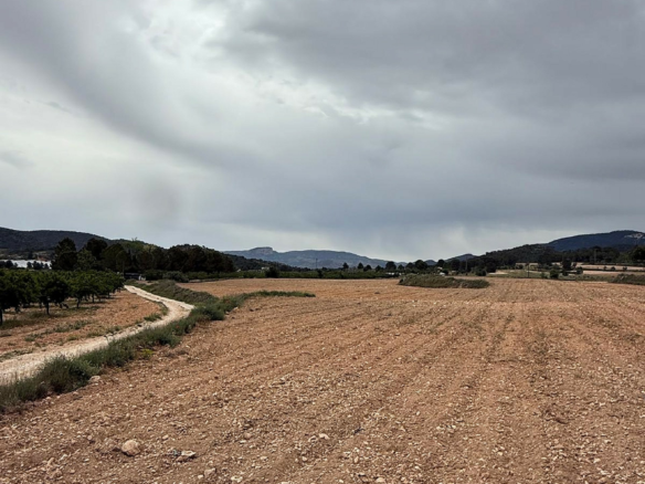 Land In Culebron, Spain (30.354 M² Plot)