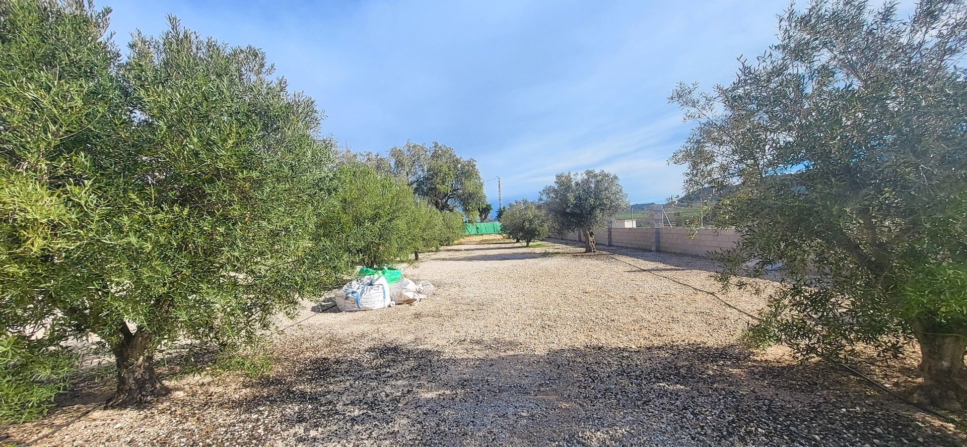 1-bedroom Country House In Monovar, Spain (47 M²)