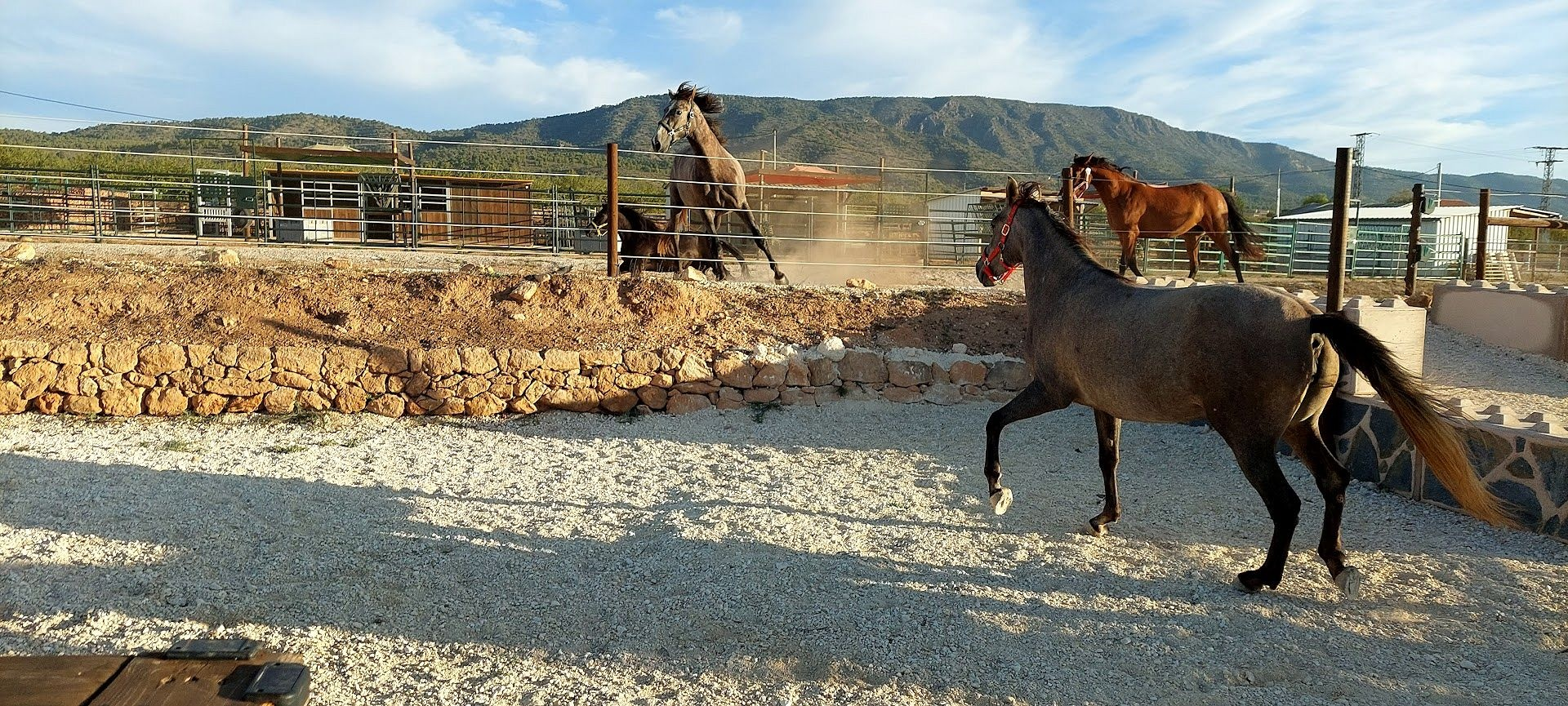 3-bedroom Detached Villa In Pinoso, Spain (200 M²)
