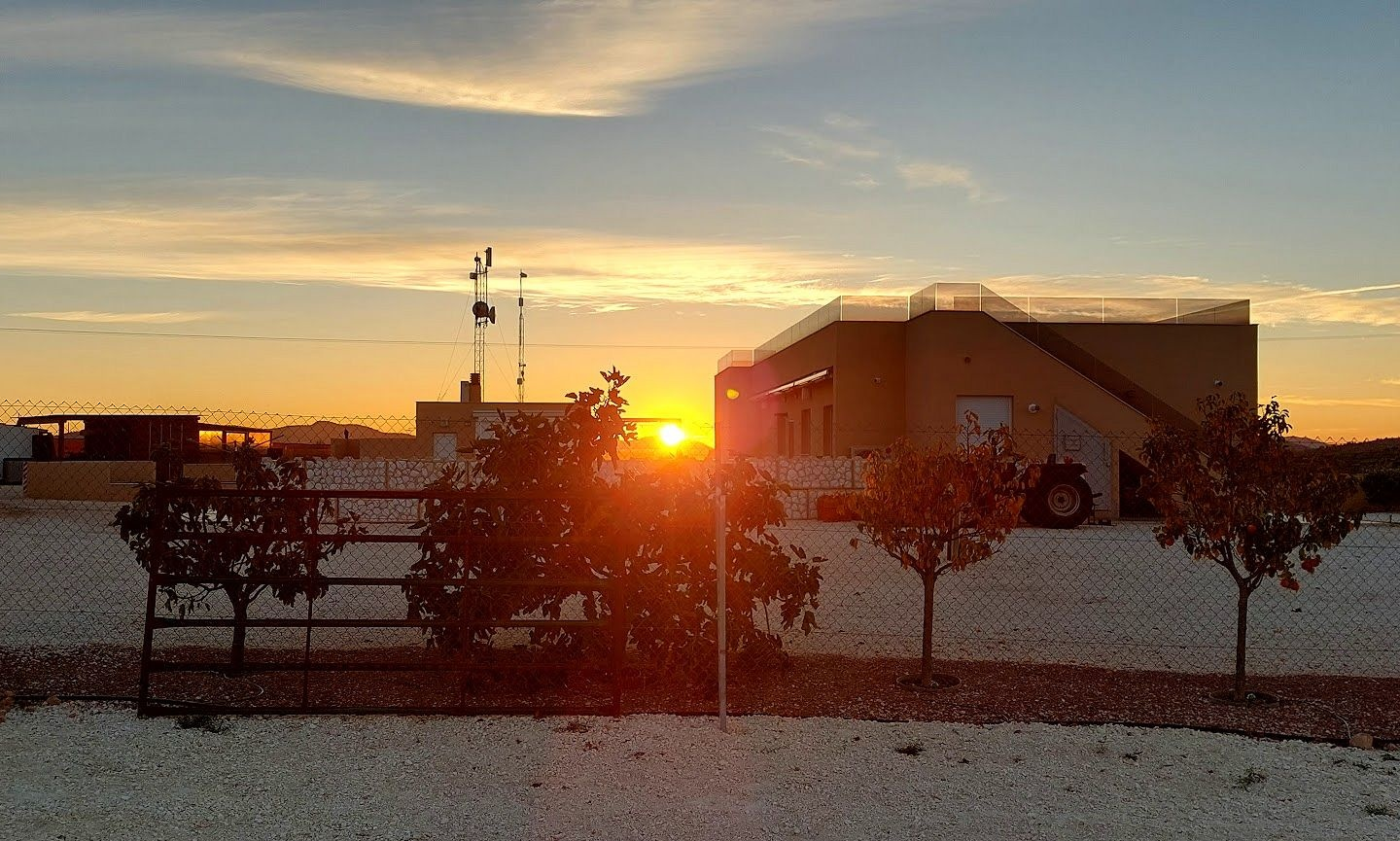 3-bedroom Detached Villa In Pinoso, Spain (200 M²)