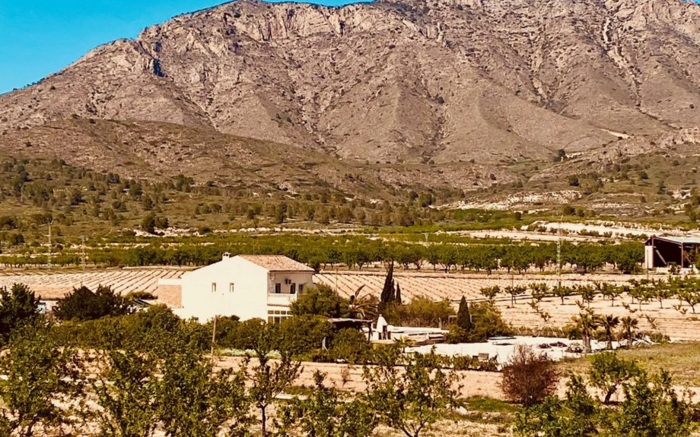 5-bedroom Country House In El Cantón, Spain (308 M²)
