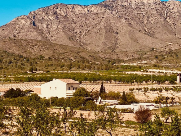5-bedroom Country House In El Cantón, Spain (308 M²)