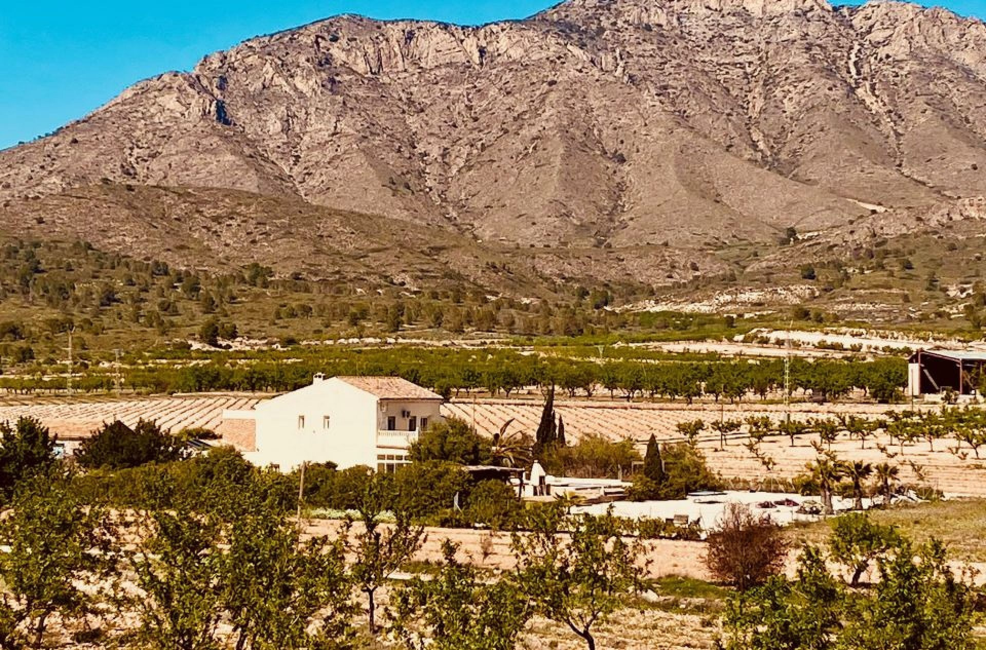 w_3-3-960×633-35d856 5-bedroom Country House In El Cantón, Spain (308 M²)