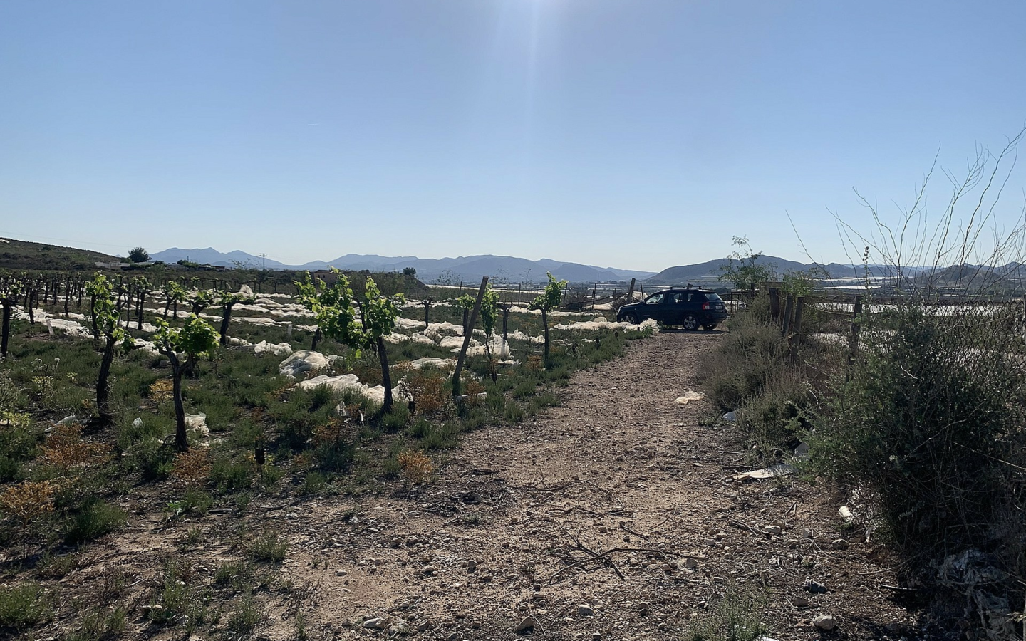 Land In Monforte Del Cid, Spain (17.816 M² Plot)