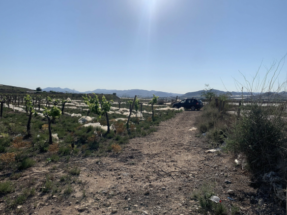 Land In Monforte Del Cid, Spain (17.816 M² Plot)