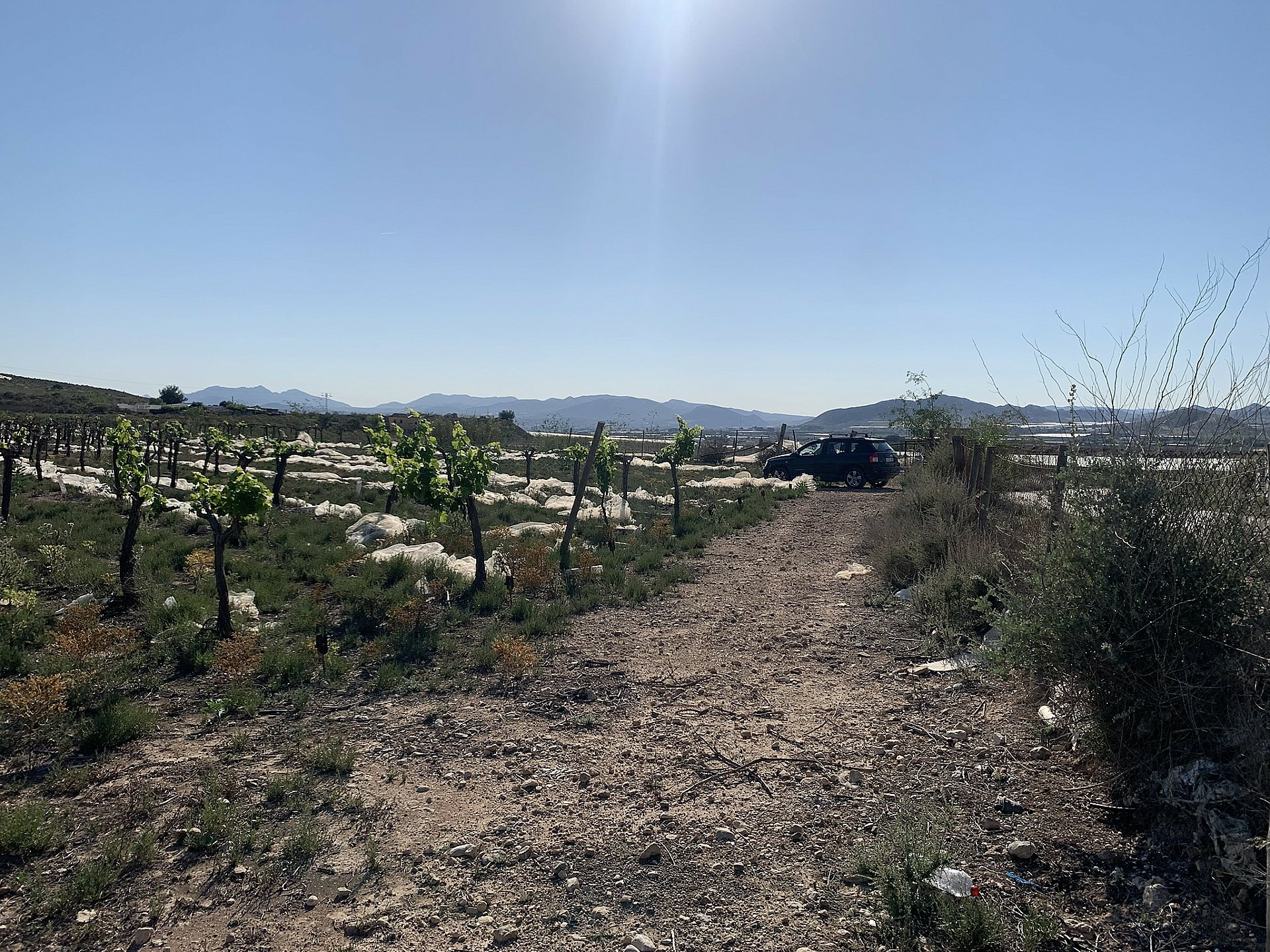 Land In Monforte Del Cid, Spain (17.816 M² Plot)