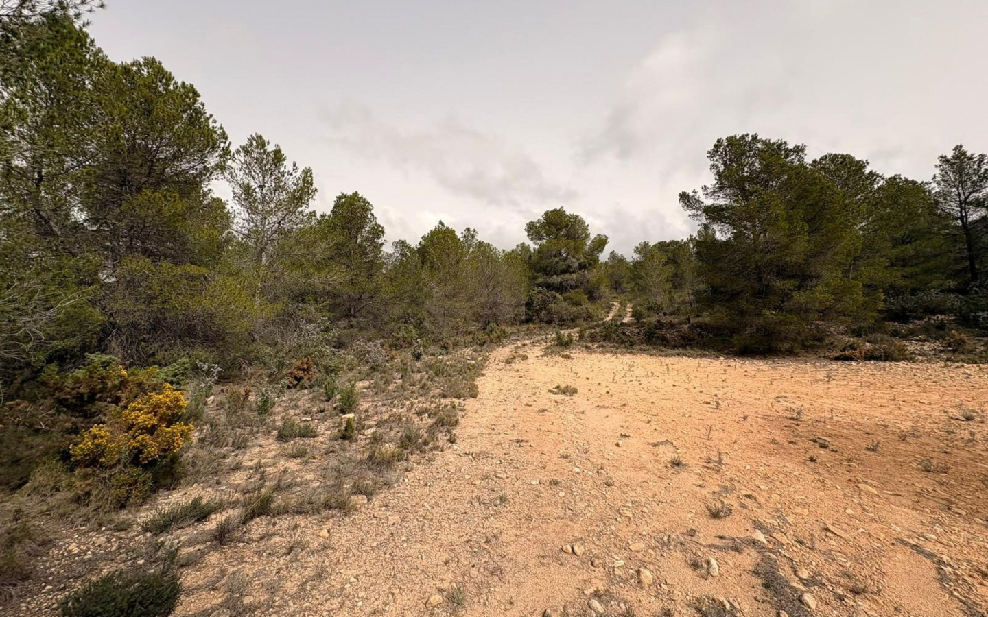 Land In Petrer, Spain (100.000 M² Plot)