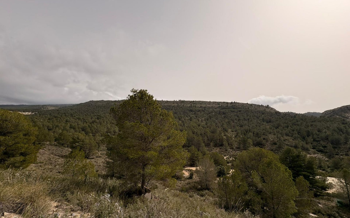 Land In Petrer, Spain (100.000 M² Plot)