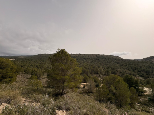 Land In Petrer, Spain (100.000 M² Plot)