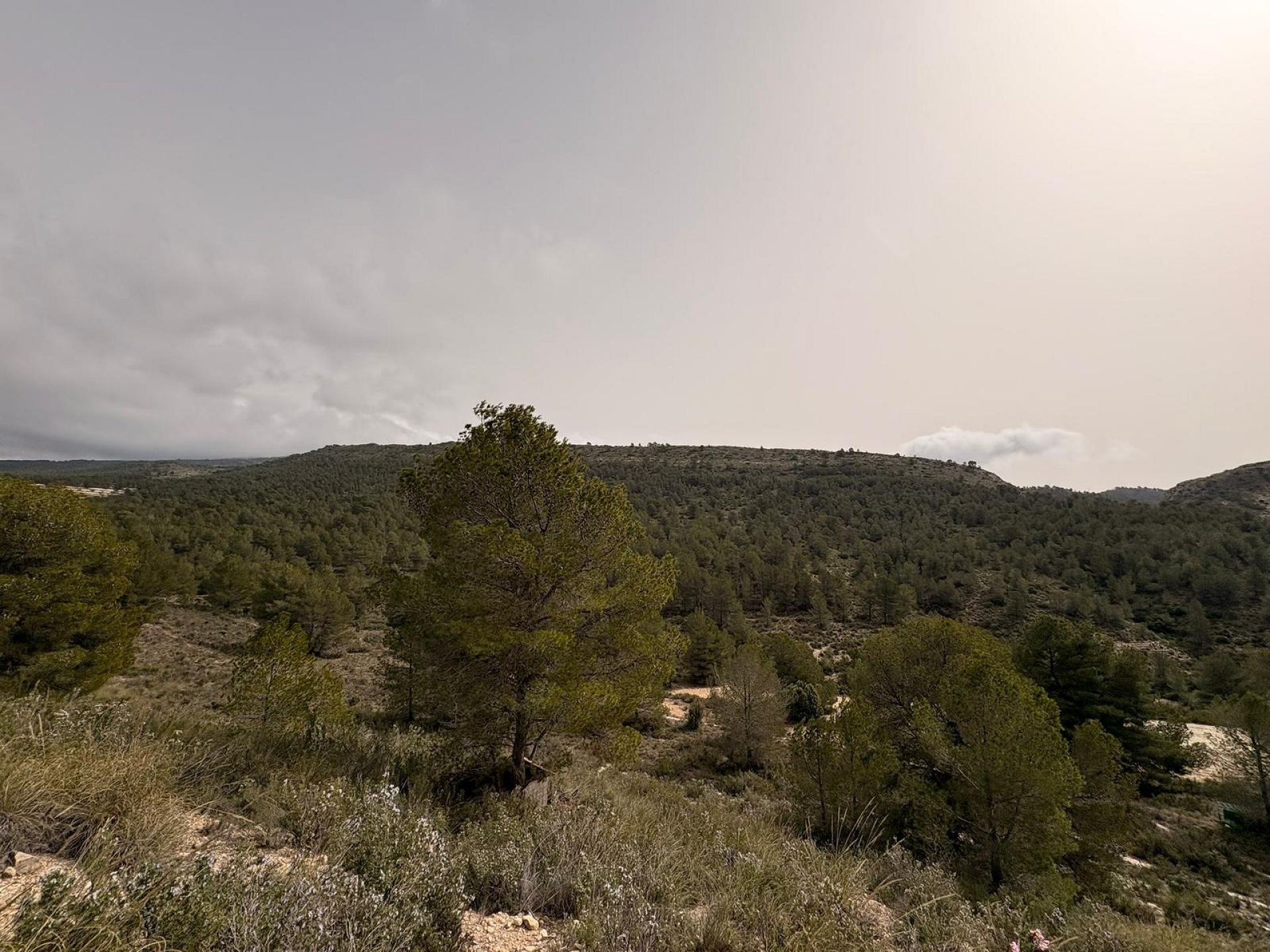Land In Petrer, Spain (100.000 M² Plot)