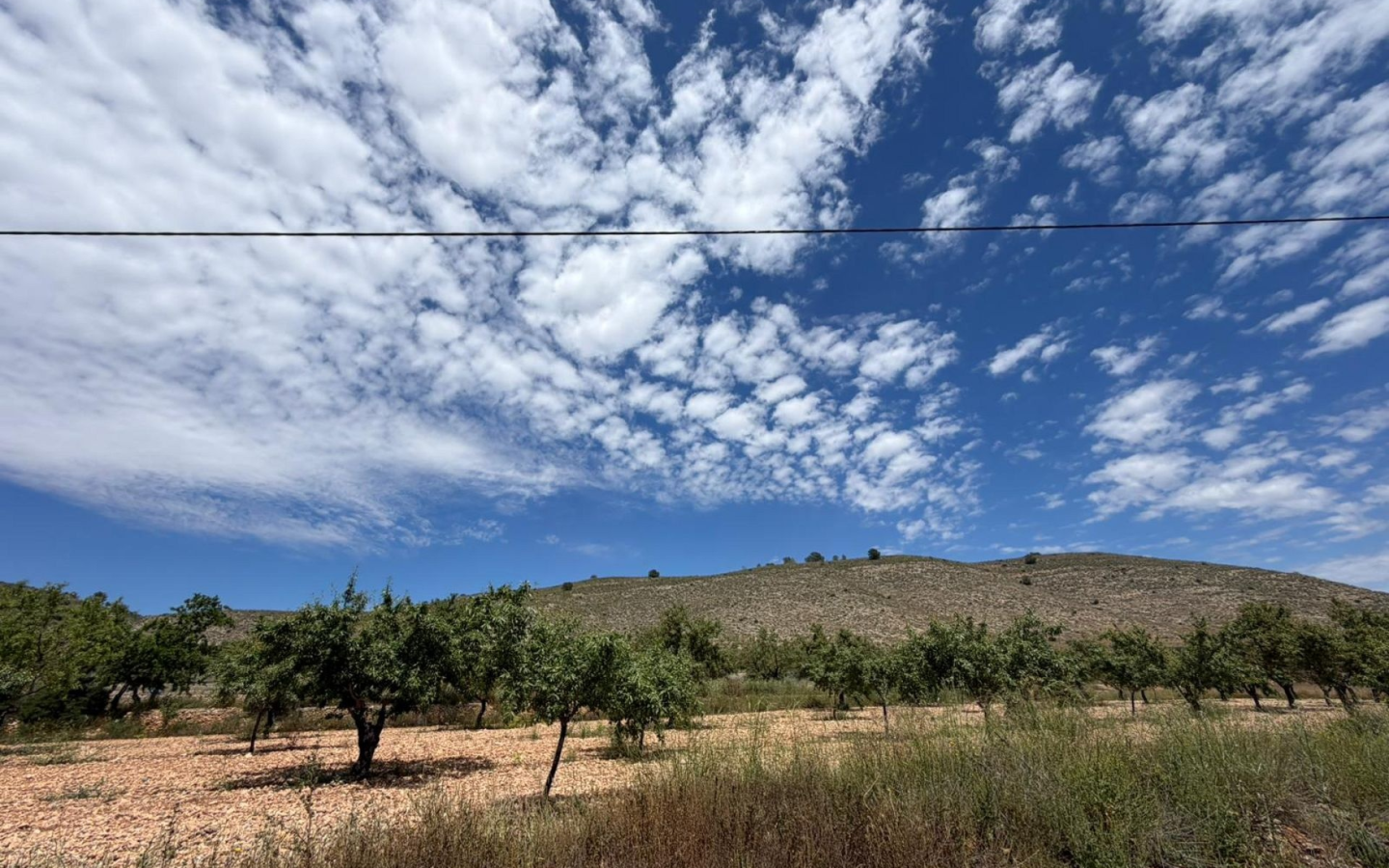 5-bedroom Restoration Project In Hondón De Las Nieves, Spain (190 M²)