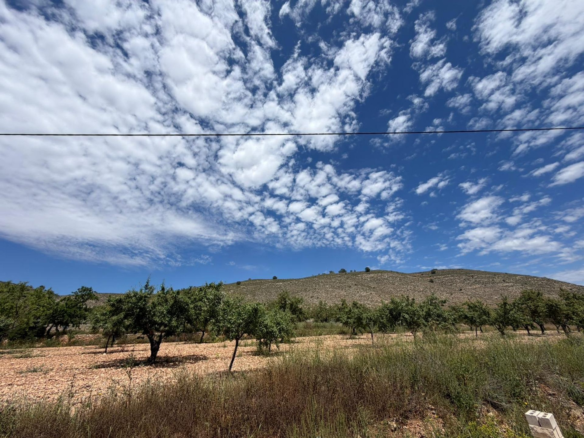 5-bedroom Restoration Project In Hondón De Las Nieves, Spain (190 M²)