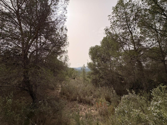 Land In Petrer, Spain (100.000 M² Plot)