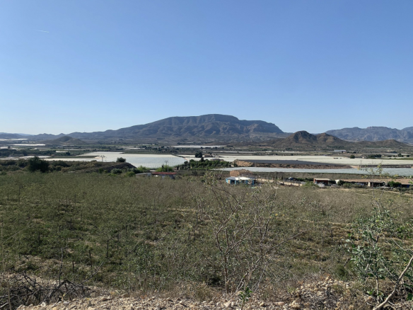 Land In Monforte Del Cid, Spain (11.516 M² Plot)